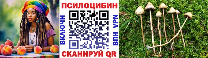 нарко площадка какой сайт  где найти наркотики  Дербент  Псилоцибиновые грибы Magic Shrooms 