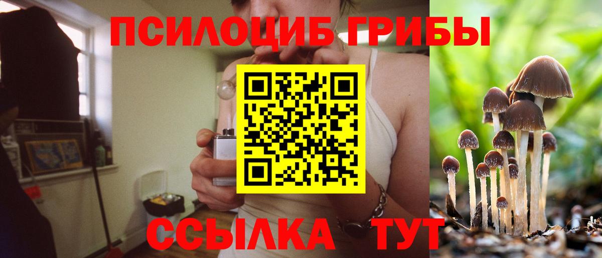 Галлюциногенные грибы Magic Shrooms Дербент
