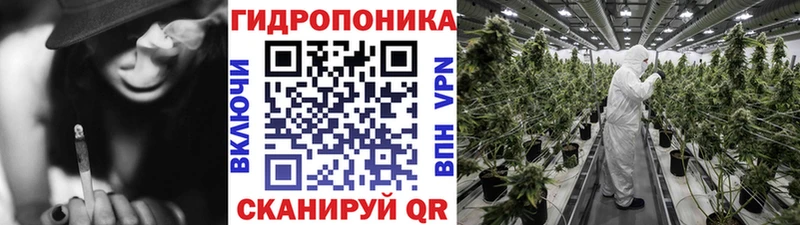 Конопля Amnesia Дербент